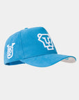 BYU Fade Hat Cougar Face