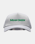 North Texas Eagle Light Grey Hat