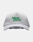 North Texas Eagle Light Grey Hat