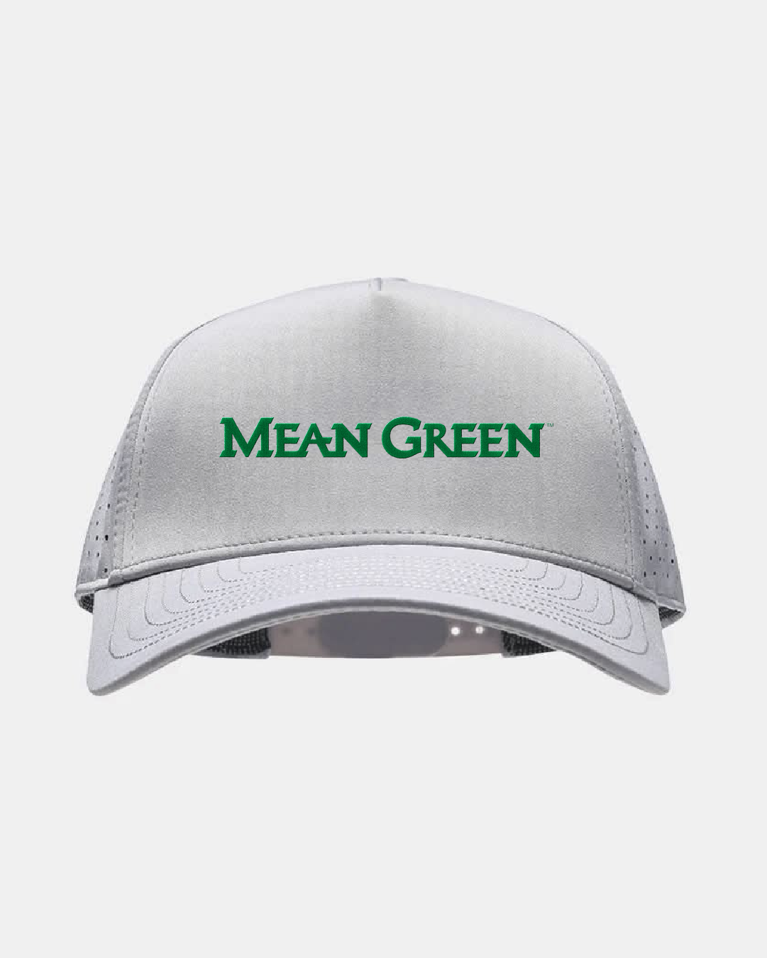 North Texas Eagle Light Grey Hat