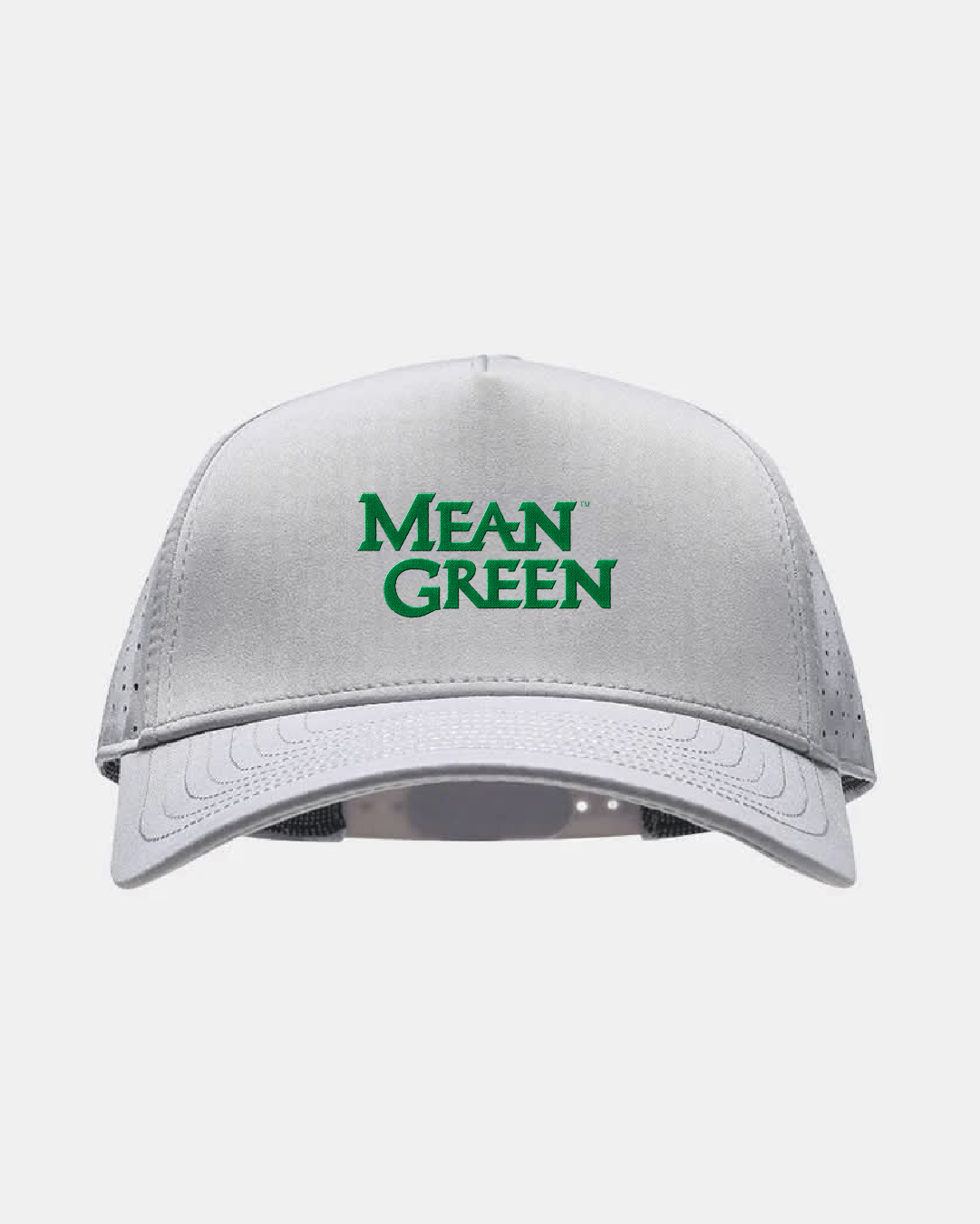 North Texas Eagle Light Grey Hat